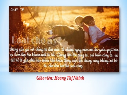 Bài giảng Ngữ văn Lớp 6 Sách Cánh diều - Bài 8: Văn bản nghị luận - Thực hành đọc hiểu Tại sao nên có vật nuôi trong nhà