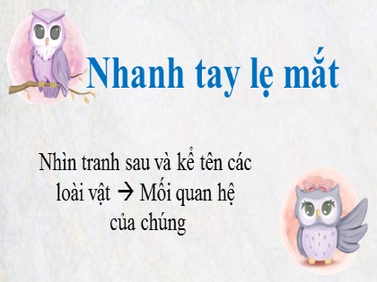 Bài giảng Ngữ văn Lớp 8 - Cấp độ khái quát nghĩa của từ - Nguyễn Thị Lệ Giang