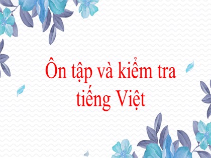 Bài giảng Ngữ văn Lớp 8 - Ôn tập và kiểm tra tiếng Việt