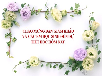 Bài giảng Ngữ văn Lớp 8 - Văn bản Đi bộ ngao du - Nguyễn Thị Hạnh