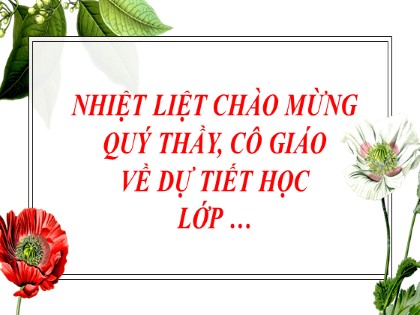 Bài giảng Ngữ văn Lớp 9 theo CV4040 - Tiết 63: Văn bản Ánh trăng