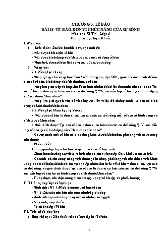 Giáo án Khoa học tự nhiên Lớp 6 Sách Kết nối tri thức với cuộc sống - Chương 5: Tế bào - Bài 18: Tế bào. Đơn vị chức năng của sự sống
