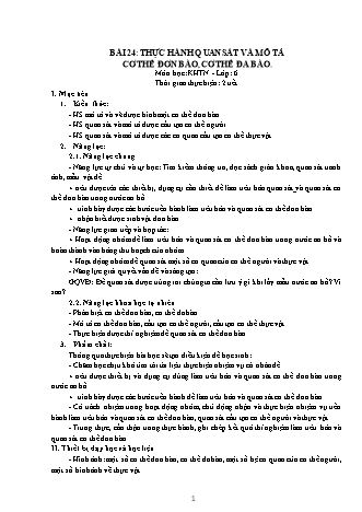 Giáo án Khoa học tự nhiên Lớp 6 Sách Kết nối tri thức với cuộc sống - Chương 6: Từ tế bào tới cơ thể - Bài 24: Thực hành quan sát và mô tả cơ thể đơn bào, cơ thể đa bào