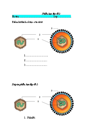 Phiếu học tập Khoa học tự nhiên Lớp 6 Sách Chân trời sáng tạo - Chủ đề 8: Đa dạng thế giới sống - Bài 24: Virut - Phiếu số 2