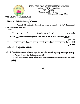 Đề kiểm tra Học kì 2 môn Toán Khối 11 - Năm học 2018-2019 - Trường THPT Nguyễn Hiền