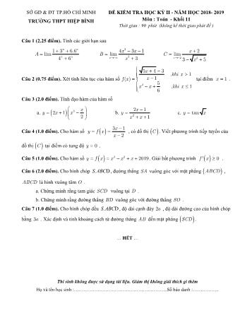 Đề kiểm tra Học kì 2 môn Toán Khối 11 - Năm học 2018-2019 - Trường THPT Hiệp Bình (Kèm đáp án và thang điểm)
