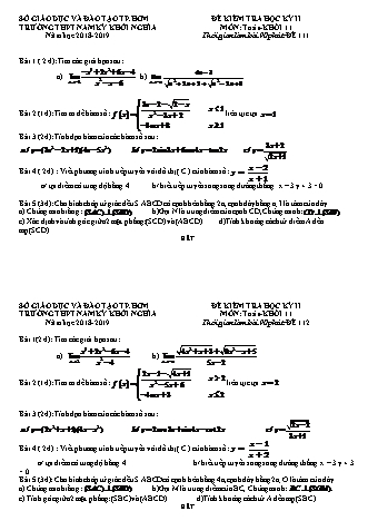 Đề kiểm tra Học kì 2 môn Toán Lớp 11 - Mã đề: 111 - Năm học 2018-2019 - Trường THPT Nam Kỳ Khởi Nghĩa (Kèm đáp án và thang điểm)