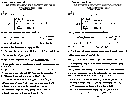 Đề kiểm tra Học kì 2 môn Toán Lớp 11 - Năm học 2018-2019 - Trường THPT Nguyễn Trãi (Kèm đáp án và thang điểm)