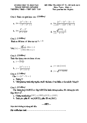 Đề kiểm tra Học kì 2 môn Toán Lớp 11 - Năm học 2018-2019 - Trường THPT Duy Tân