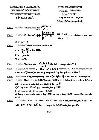 Đề kiểm tra Học kì 2 môn Toán Lớp 11 - Năm học 2018-2019 - Trường THPT Bình Tân (Kèm đáp án và thang điểm)