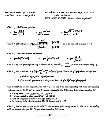Đề kiểm tra Học kì 2 môn Toán Lớp 11 - Năm học 2018-2019 - Trường THPT Ngô Quyền