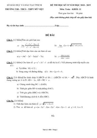 Đề kiểm tra Học kì 2 môn Toán Lớp 11 - Năm học 2018-2019 - Trường THPT Mỹ Việt (Kèm đáp án và thang điểm)