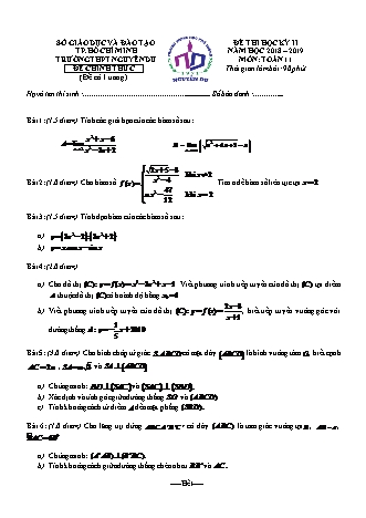 Đề kiểm tra Học kì 2 môn Toán Lớp 11 - Năm học 2018-2019 - Trường THPT Nguyễn Du (Kèm đáp án và thang điểm)