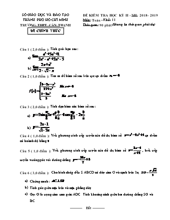Đề kiểm tra Học kì 2 môn Toán Lớp 11 - Năm học 2018-2019 - Trường THPT Cần Thạnh (Kèm đáp án và thang điểm)