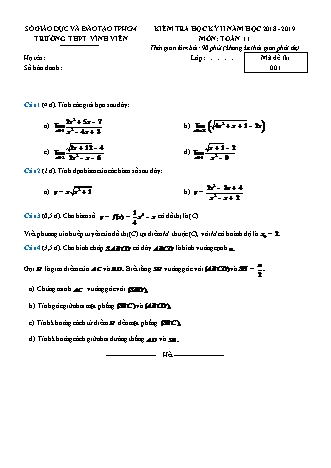 Đề kiểm tra Học kì 2 môn Toán Lớp 11 - Năm học 2018-2019 - Trường THPT Vĩnh Viễn
