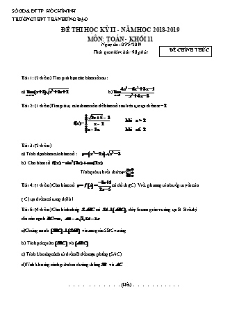 Đề kiểm tra Học kì 2 môn Toán Lớp 11 - Năm học 2018-2019 - Trường THPT Trần Hưng Đạo (Kèm đáp án và thang điểm)