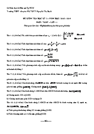 Đề kiểm tra Học kì 2 môn Toán Lớp 11 - Năm học 2018-2019 - Trường THPT chuyên năng khiếu Nguyễn Thị Định (Kèm đáp án và thang điểm)
