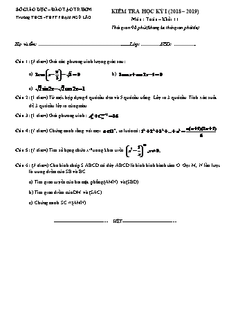 Đề kiểm tra Học kì 2 môn Toán Lớp 11 - Năm học 2018-2019 - Trường THPT Phạm Ngũ Lão (Kèm đáp án và thang điểm)