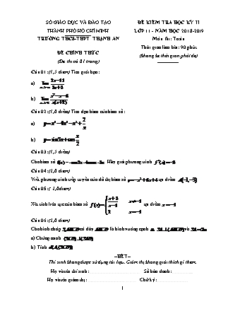 Đề kiểm tra Học kì 2 môn Toán Lớp 11 - Năm học 2018-2019 - Trường THPT Thạnh An (Kèm đáp án và thang điểm)