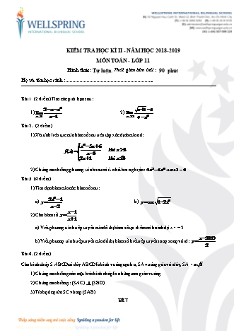 Đề kiểm tra Học kì 2 môn Toán Lớp 11 - Năm học 2018-2019 - Trường THPT Mùa Xuân (Kèm đáp án và thang điểm)