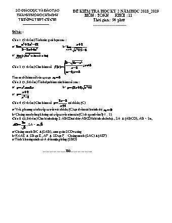 Đề kiểm tra Học kì 2 môn Toán Lớp 11 - Năm học 2018-2019 - Trường THPT Củ Chi (Kèm đáp án và thang điểm)