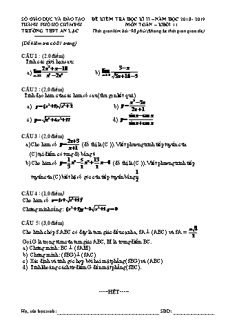 Đề kiểm tra Học kì 2 môn Toán Lớp 11 - Năm học 2018-2019 - Trường THPT An Lạc (Kèm đáp án và thang điểm)
