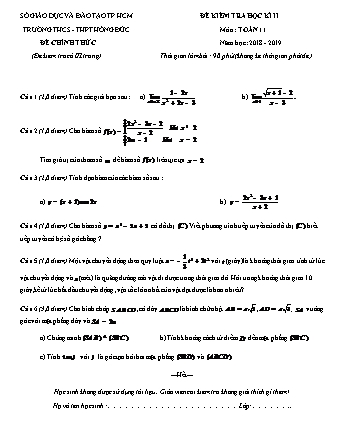Đề kiểm tra Học kì 2 môn Toán Lớp 11 - Năm học 2018-2019 - Trường THPT Hồng Đức (Kèm đáp án và thang điểm)
