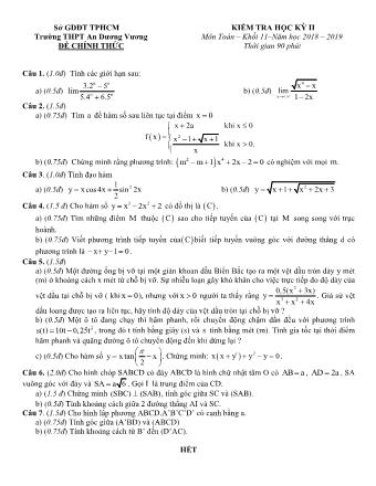 Đề kiểm tra Học kì 2 môn Toán Lớp 11 - Năm học 2018-2019 - Trường THPT An Dương Vương (Kèm đáp án và thang điểm)