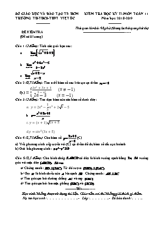 Đề kiểm tra Học kì 2 môn Toán Lớp 11 - Năm học 2018-2019 - Trường THPT Việt Úc (Kèm đáp án và thang điểm)