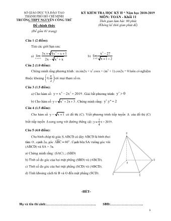 Đề kiểm tra Học kì 2 môn Toán Lớp 11 - Năm học 2018-2019 - Trường THPT Nguyễn Công Trứ (Kèm hướng dẫn chấm)
