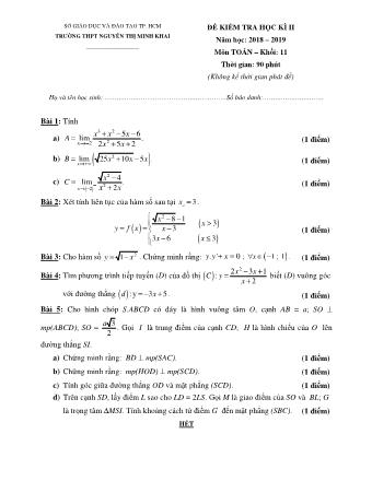 Đề kiểm tra Học kì 2 môn Toán Lớp 11 - Năm học 2018-2019 - Trường THPT Nguyễn Thị Minh Khai (Kèm đáp án và thang điểm)