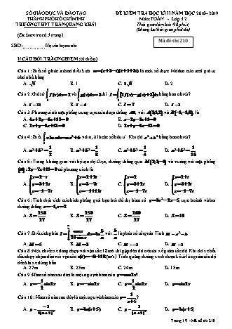 Đề kiểm tra Học kì 2 môn Toán Lớp 12 - Mã đề: 210 - Năm học 2018-2019 - Trường THPT Trần Quang Khải (Kèm đáp án và thang điểm)